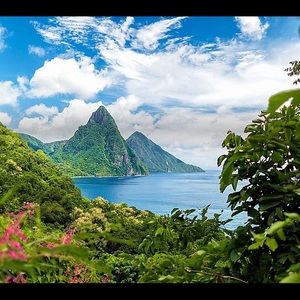 Meet your Posher, Corina